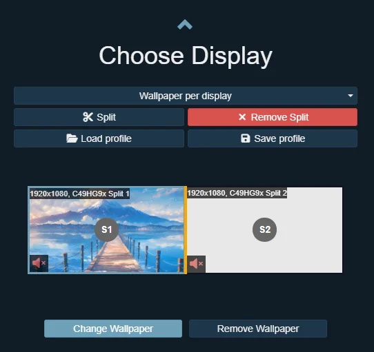 Wallpaper Engine display selection window