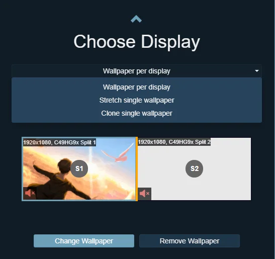 Wallpaper Engine display settings with an individual display option