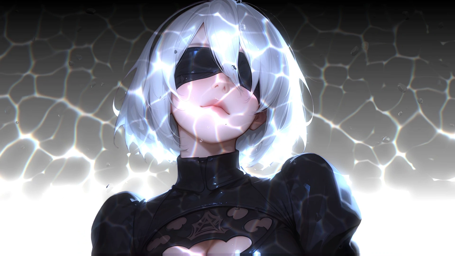 2B behind Cracked Glass - NieR:Automata