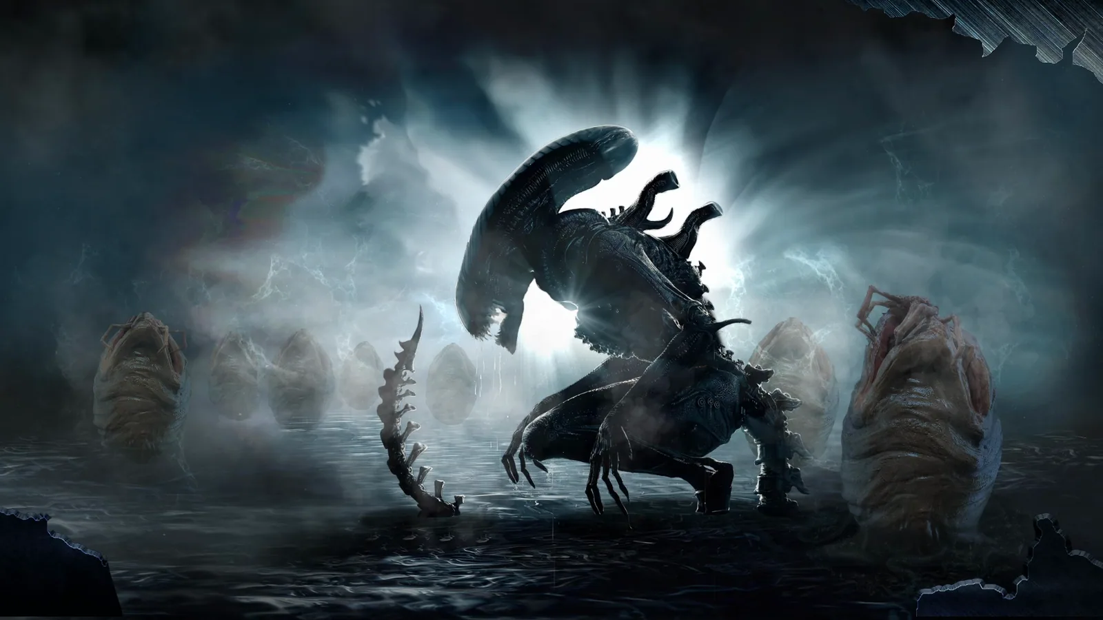 Alien Xenomorph in Moonlight wallpaper preview