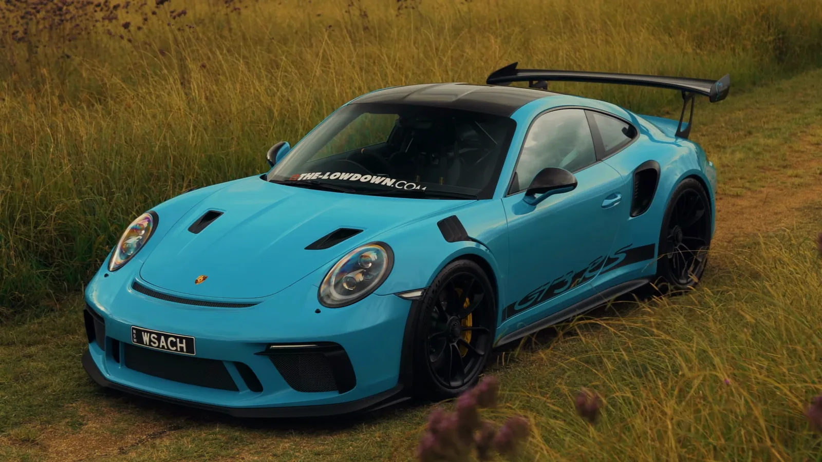 Blue Porsche 911 GT3 RS in Grass