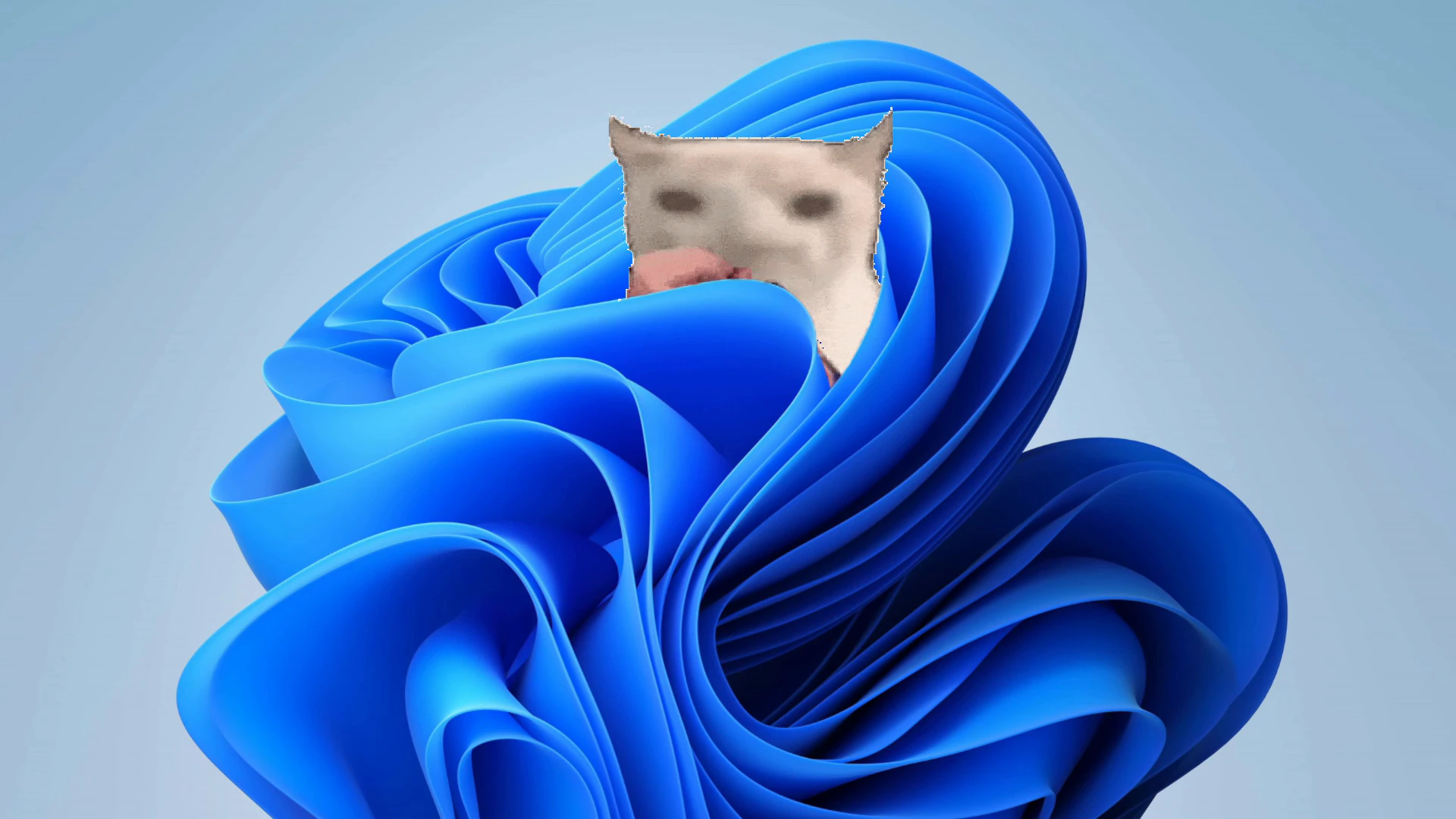 Cat Eating Chips in Windows 11
