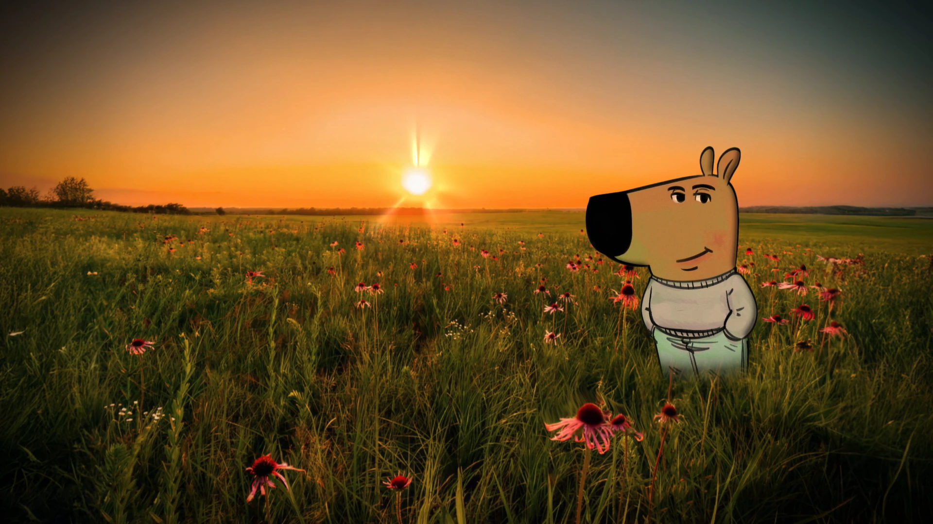 Chill Guy في Sunset Meadow