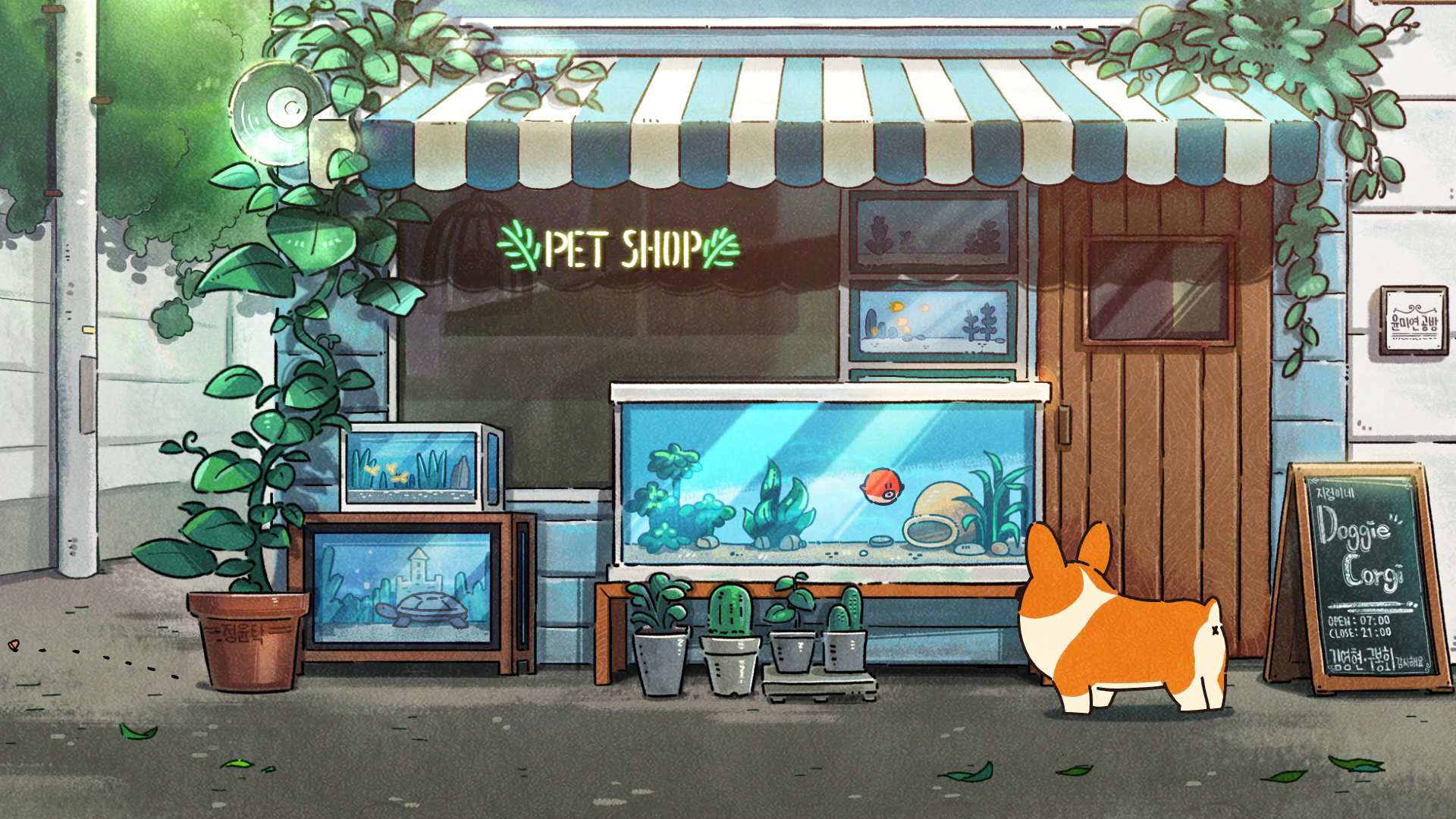 Doggie Corgi at the Pet Shop