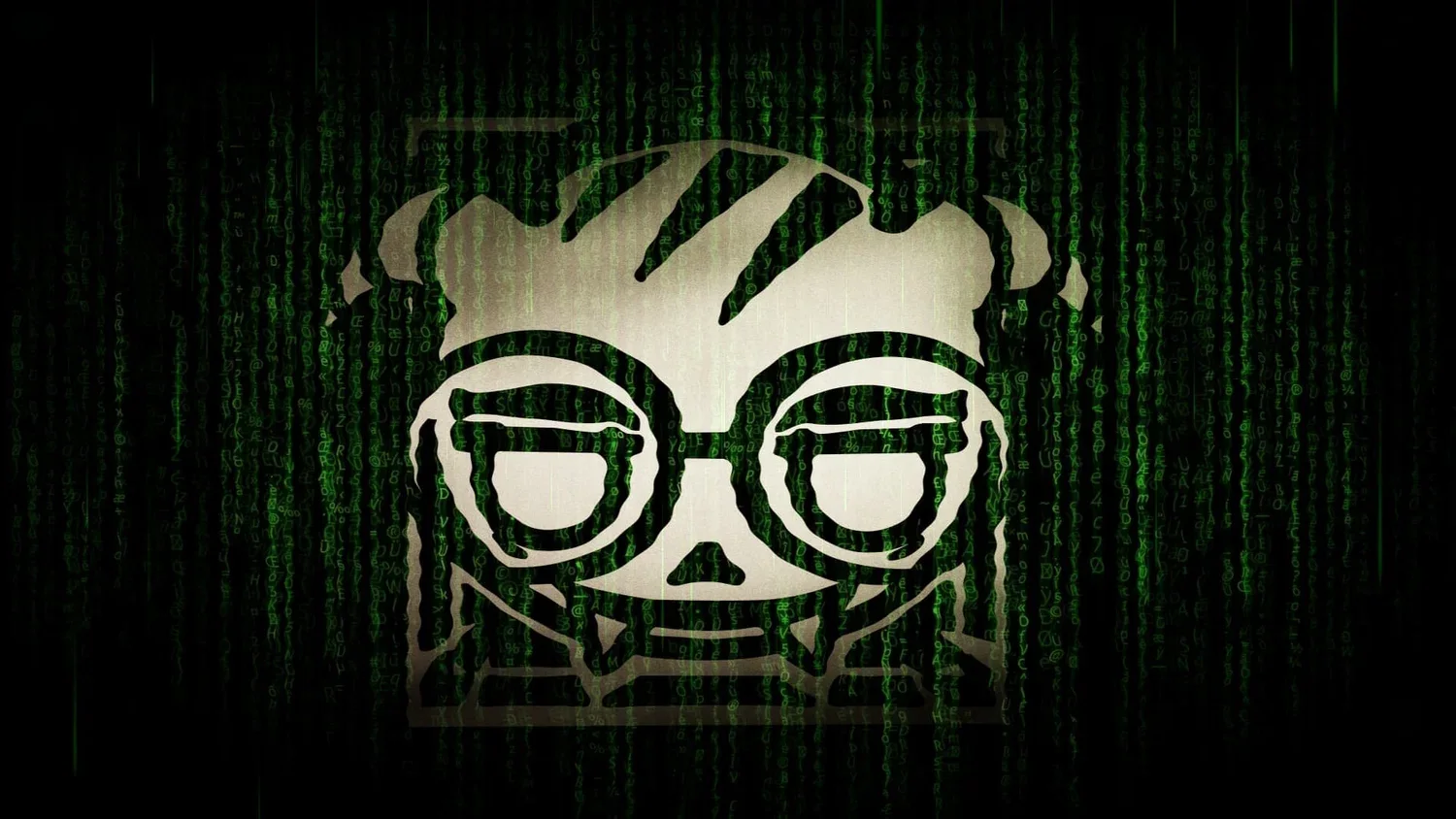Dokkaebi Hacker Matrix Code