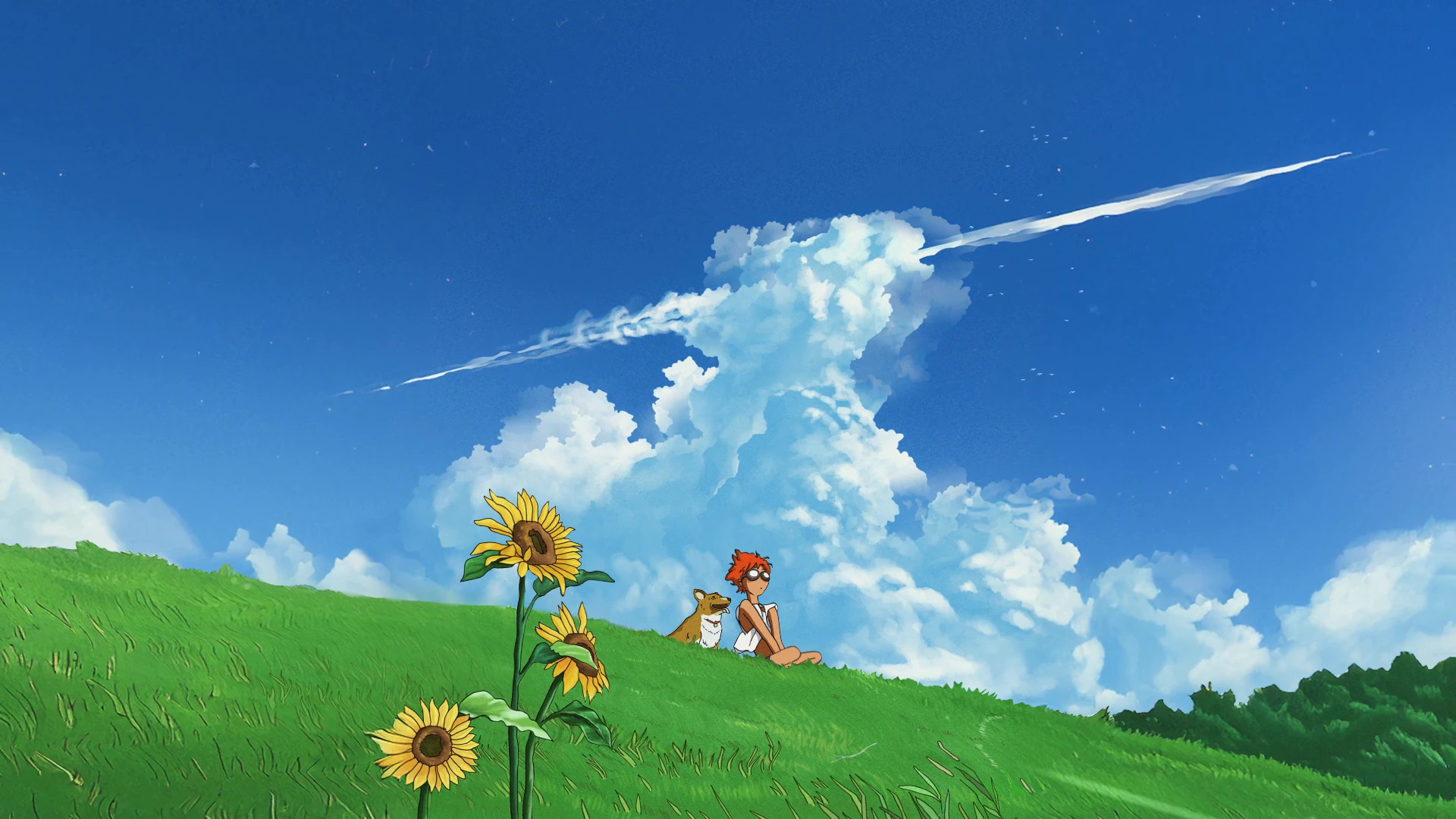 Ed and Ein in a Ghibli Sunflower Field