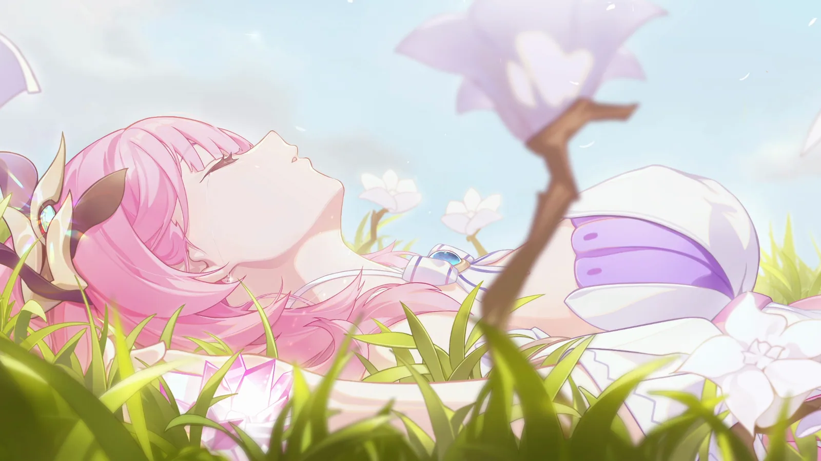 Elysia Dreaming in a Flowered Field - Honkai Impact 3rd