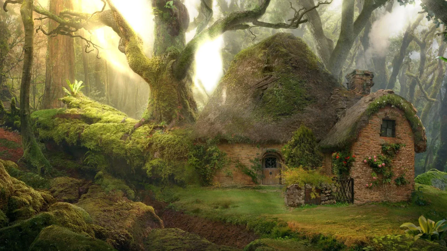 Enchanted Mosswood Cottage wallpaper preview