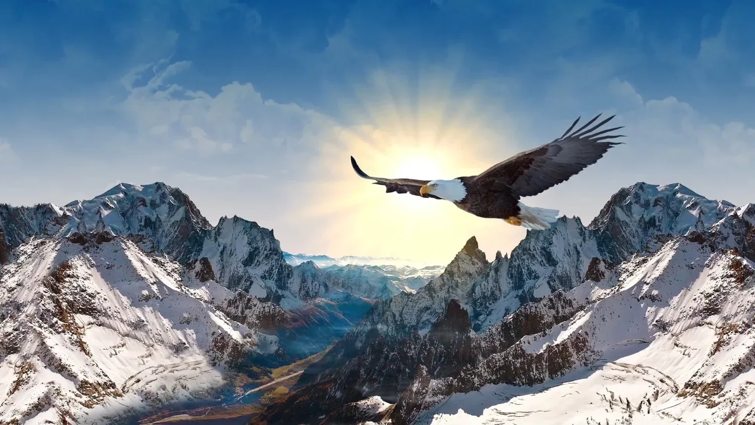 Flight of a Bald Eagle