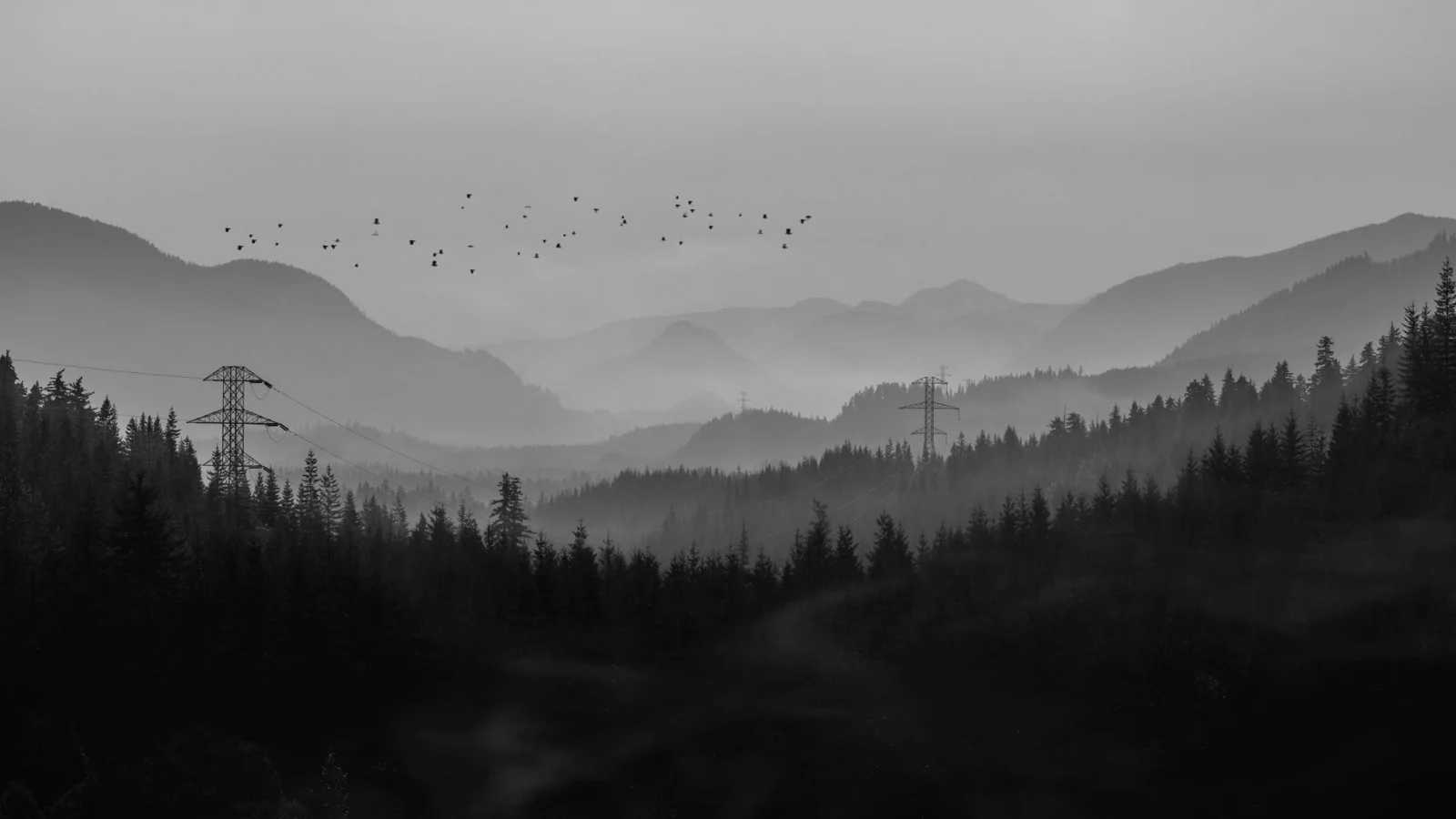 Fog Desert Mountain Valley wallpaper preview