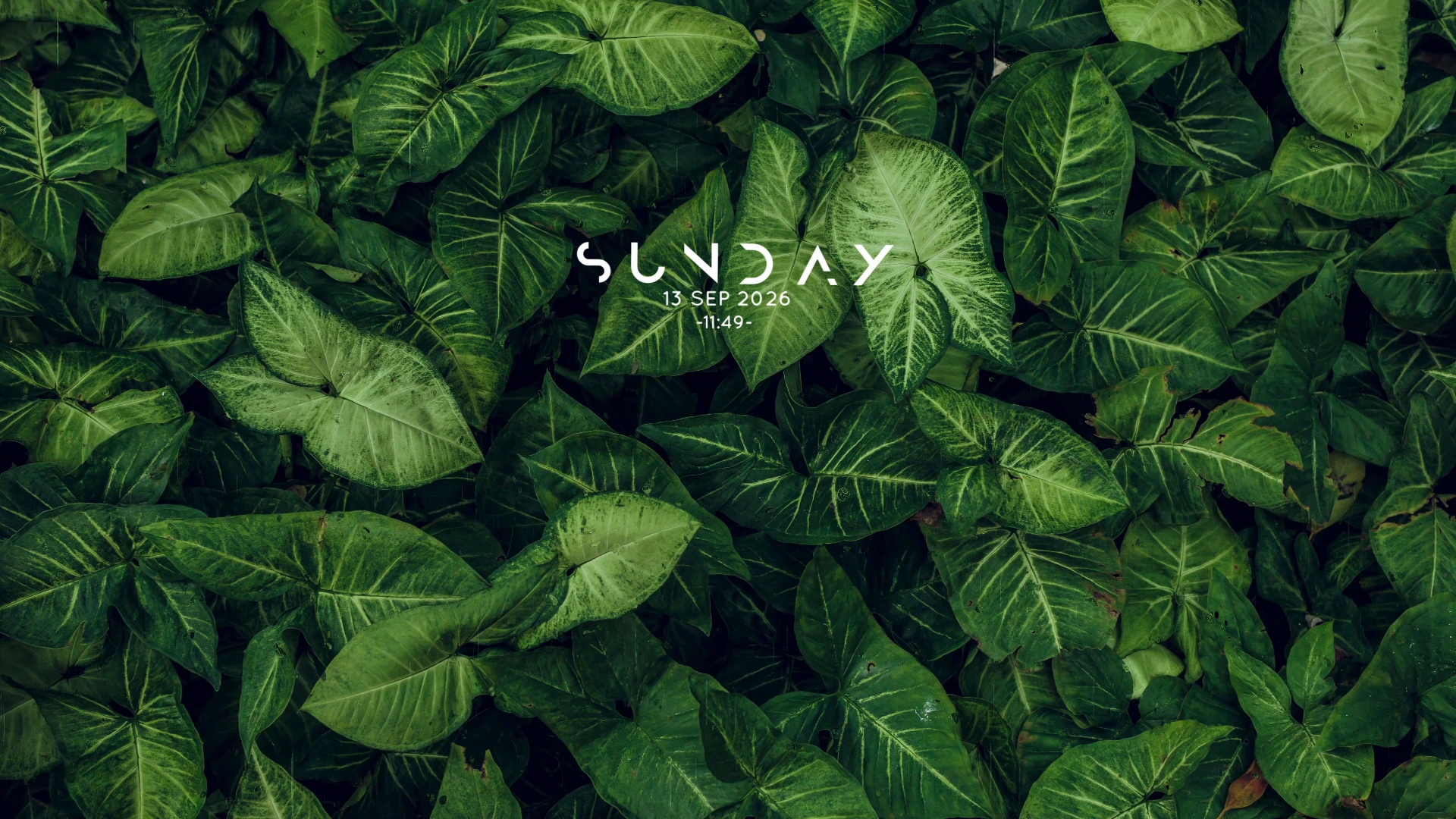 Green Leaves with Day and Clock