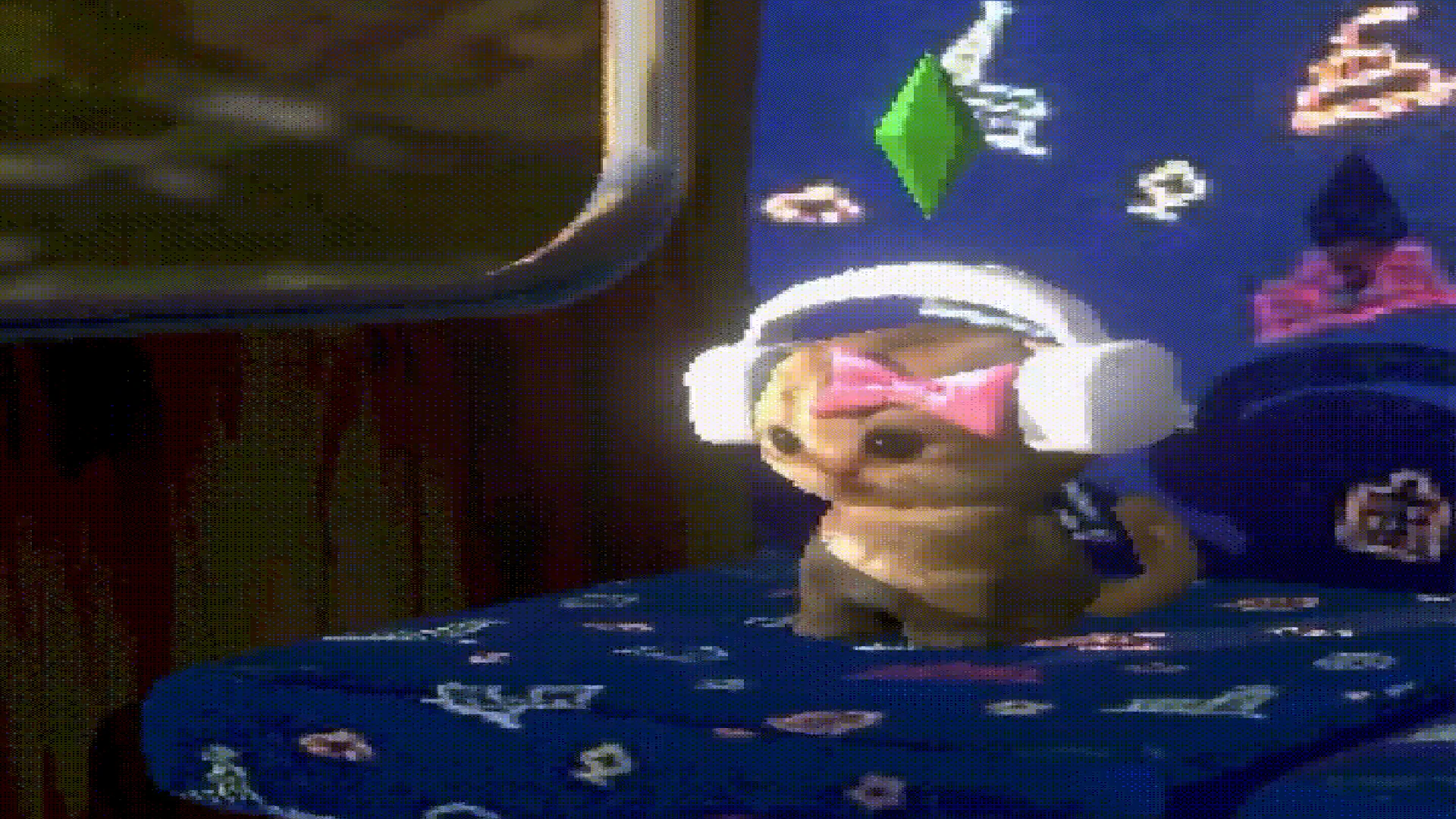 Headphone Cat Vibing on a Train