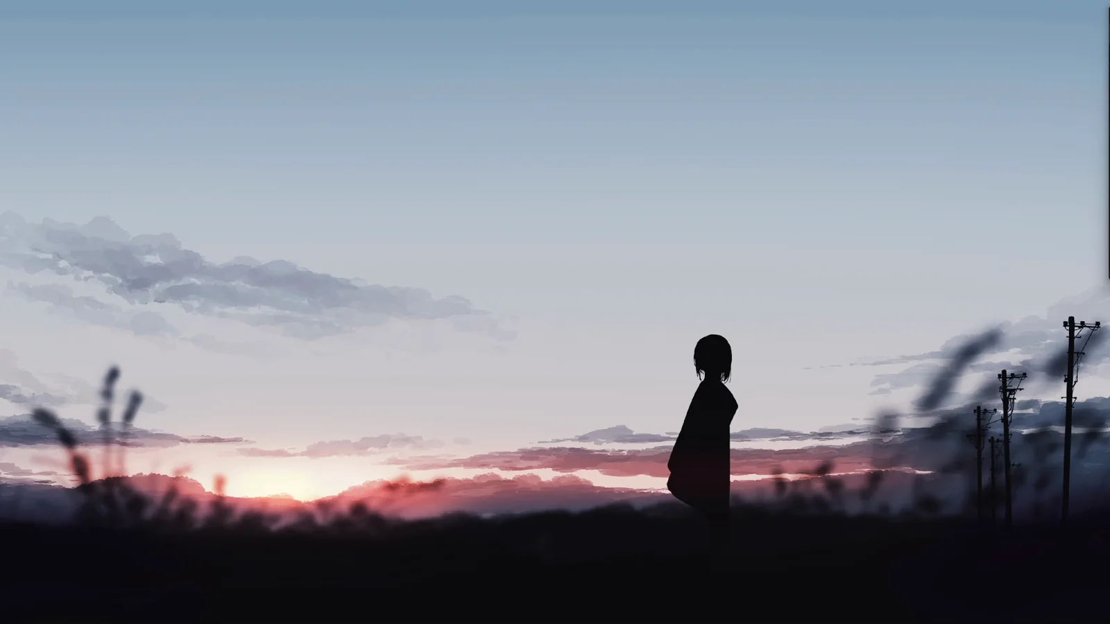 Lone Silhouette at Sunset wallpaper preview