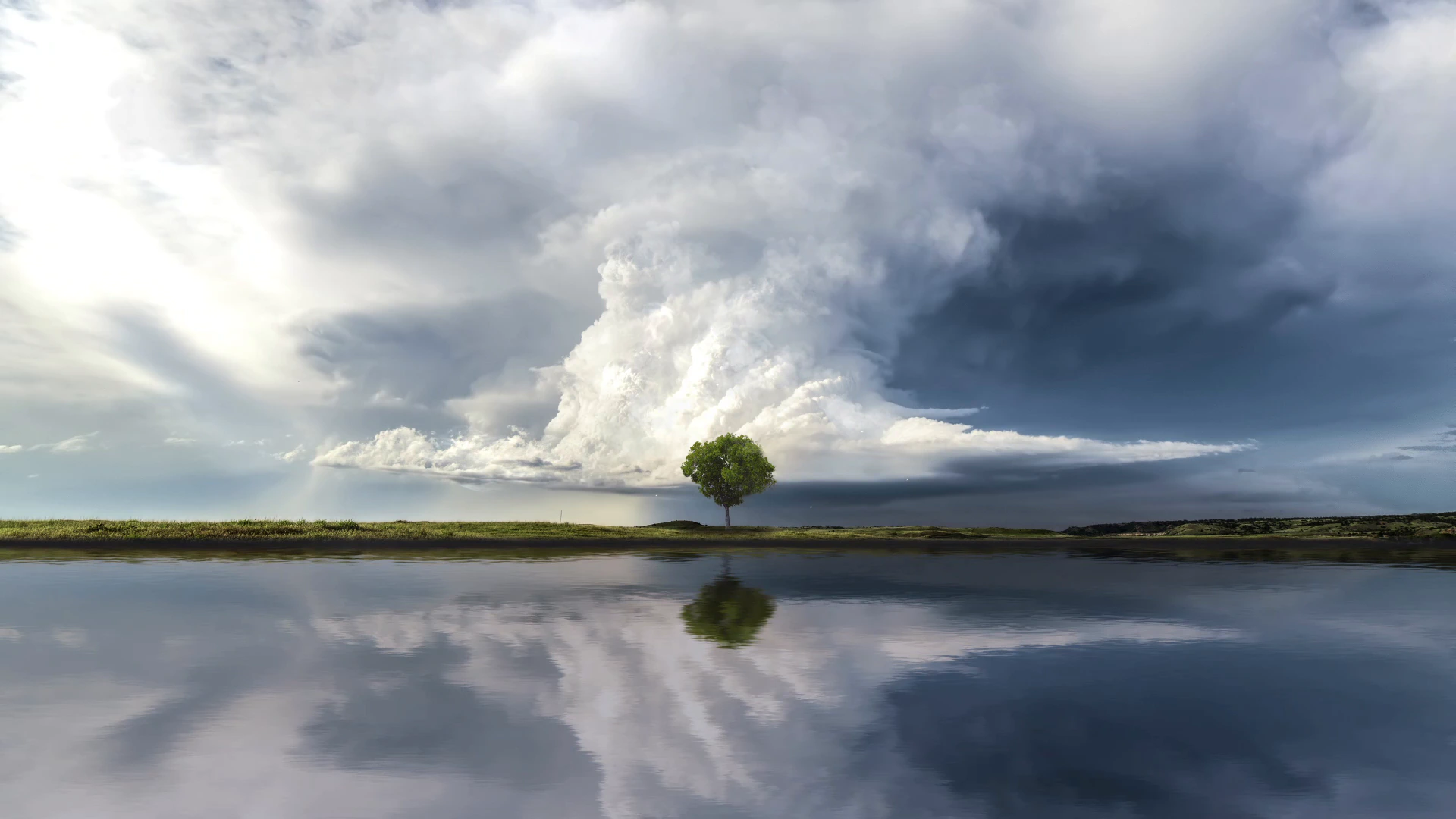 Árbol solitario bajo nubes de tormenta