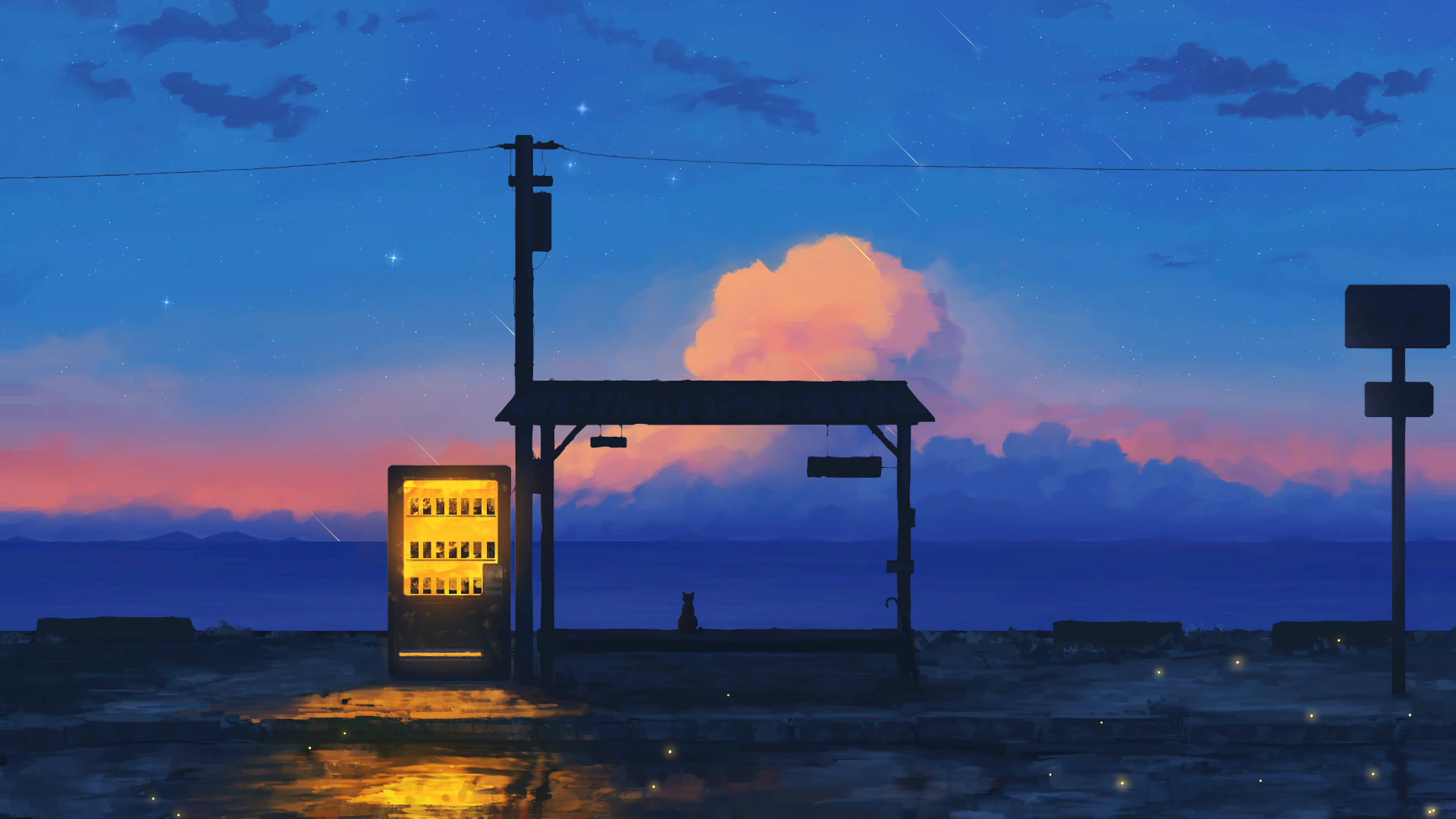 Lost Cat at a Rainy Seaside Station