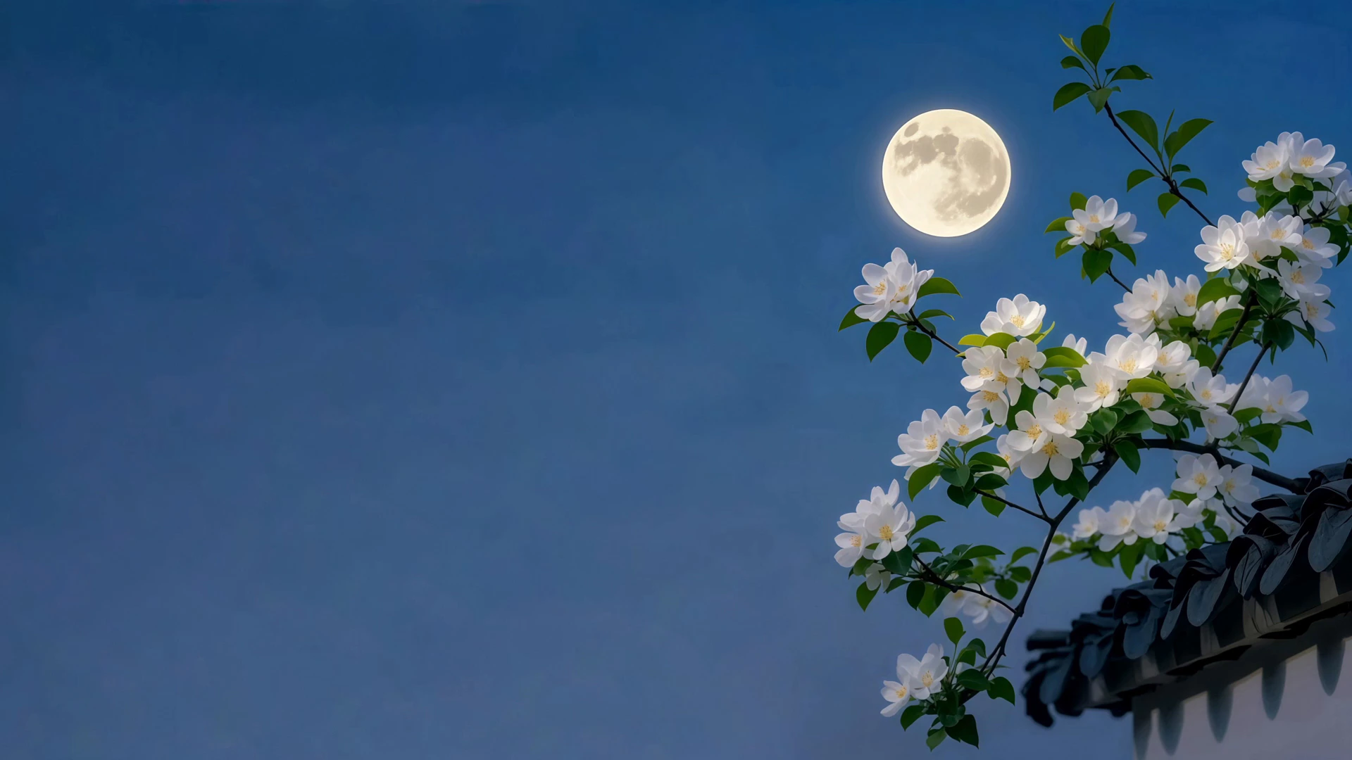 月亮与花枝