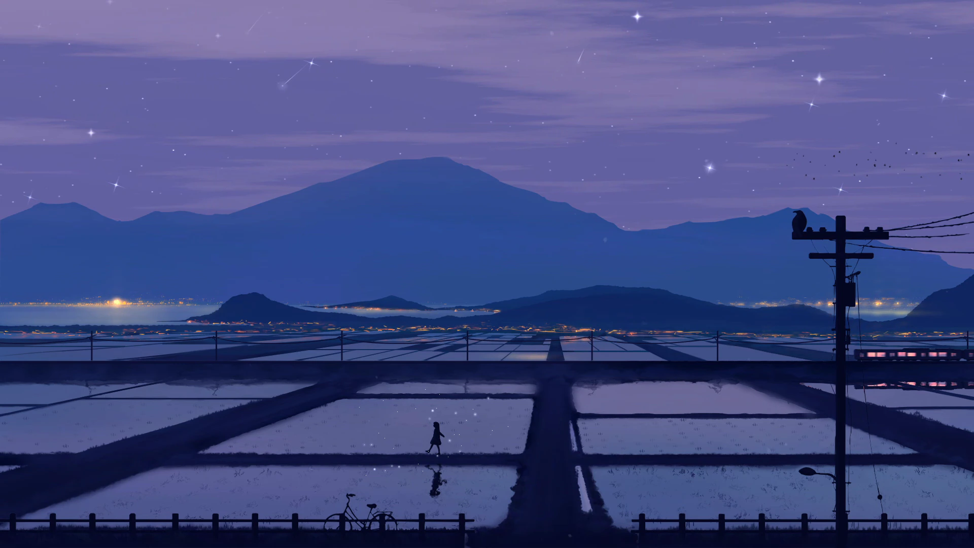 Twilight Train Across Coastal Fields