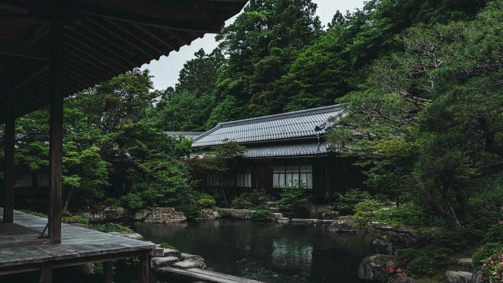 Verdant Japanese Temple Garden