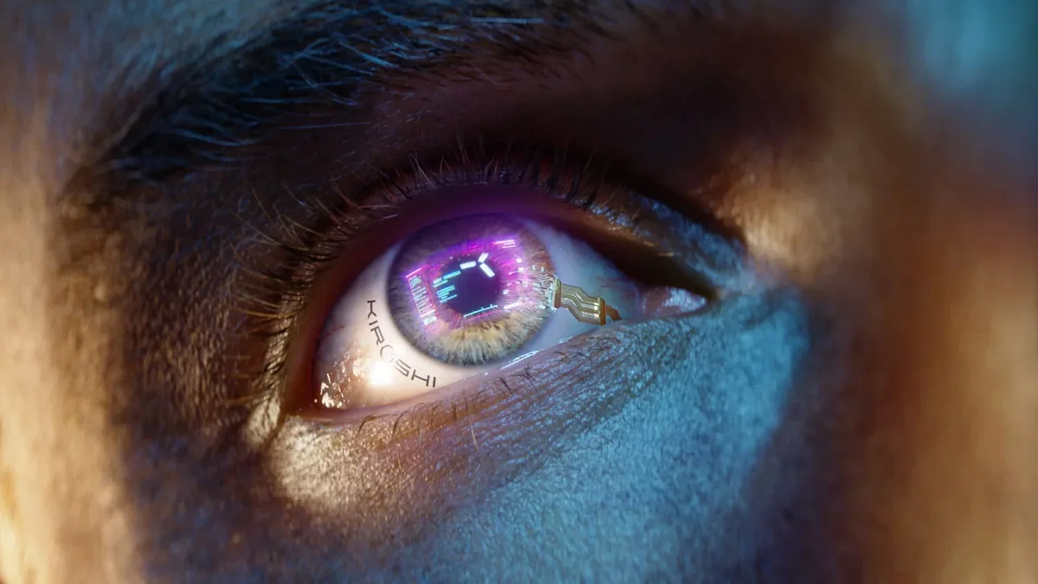 Vision of the Future