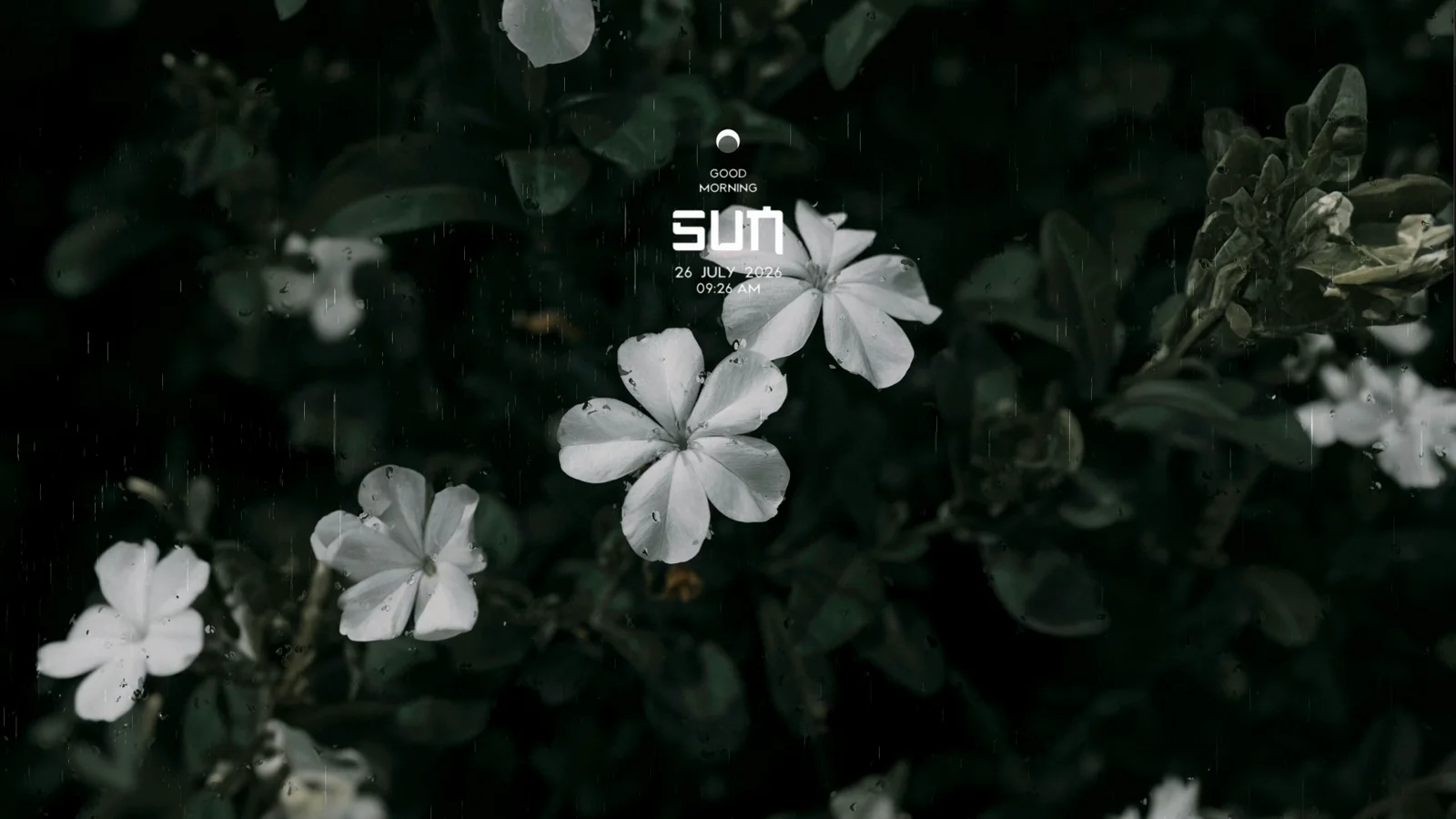 White Flowers in the Rain with a Clock wallpaper preview